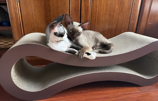Premium Figure-8 Cat Scratcher Lounge | Extra-Long Corrugated Cardboard Scratching Board for Indoor Cats, Modern Cat Bed & Scratcher